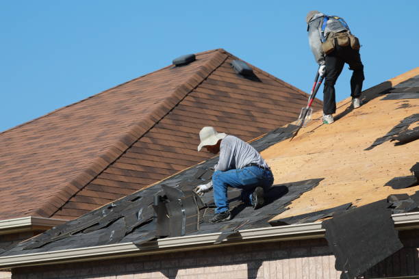 Best Roof Installation  in Afton, MN