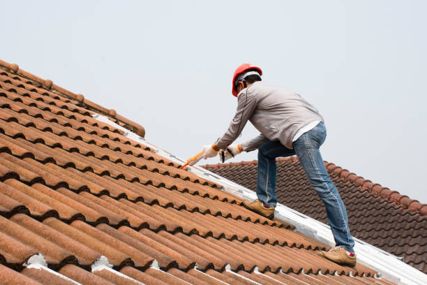  Afton, MN Roofing repair and installation Pros