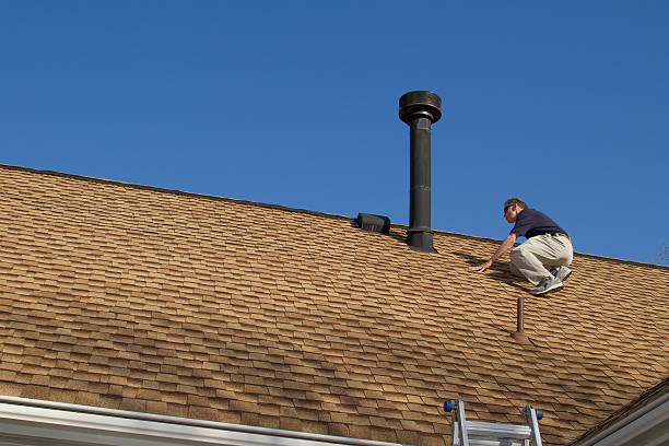 Best Roof Waterproofing  in Afton, MN